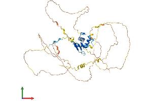 AlphaFold protein structure predicition of Mouse Recombinant Foxo4 Protein, UniprotID Q9WVH3