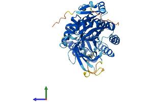 AlphaFold protein structure predicition of Human Recombinant AZIN1 Protein, UniprotID O14977