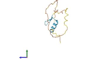 AlphaFold protein structure predicition of Human Recombinant ZNF861P Protein, UniprotID O60384