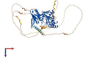 AlphaFold protein structure predicition of Mouse Recombinant Syn2 Protein, UniprotID Q64332