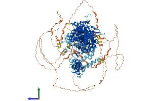 AlphaFold protein structure predicition of Human Recombinant DROSHA Protein, UniprotID Q9NRR4