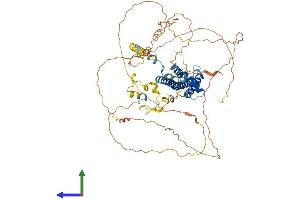 AlphaFold protein structure predicition of Mouse Recombinant Crebrf Protein, UniprotID Q8CDG5