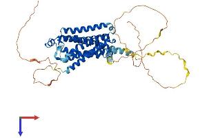 Adrenergic, beta-1-, Receptor (ADRB1) (AA 1-477) protein (His tag)
