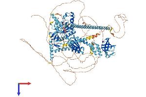 AlphaFold protein structure predicition of Human Recombinant EIF5B Protein, UniprotID O60841