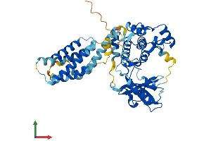 AlphaFold protein structure predicition of Mouse Recombinant Mlkl Protein, UniprotID Q9D2Y4