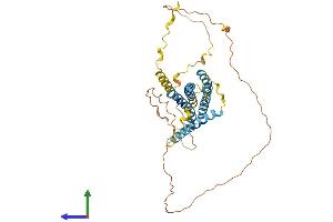 AlphaFold protein structure predicition of Human Recombinant TMEM79 Protein, UniprotID Q9BSE2