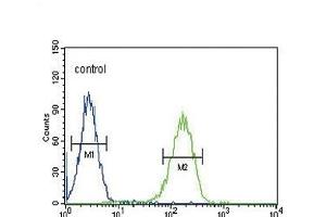 CACNA2D4 Antibody (N-term) (ABIN651895 and ABIN2840441) flow cytometric analysis of K562 cells (right histogram) compared to a negative control cell (left histogram). (CACNA2D4 anticorps  (N-Term))