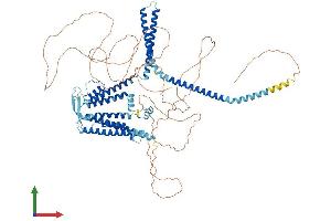 AlphaFold protein structure predicition of Mouse Recombinant Kcnn2 Protein, UniprotID P58390