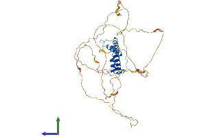 AlphaFold protein structure predicition of Mouse Recombinant Ssbp3 Protein, UniprotID Q9D032