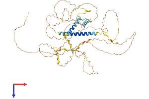 AlphaFold protein structure predicition of Mouse Recombinant Fam149b1 Protein, UniprotID Q6NSV7