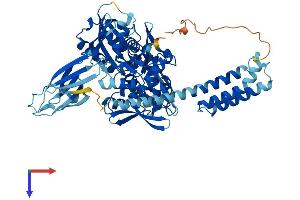 AlphaFold protein structure predicition of Human Recombinant HSPA6 Protein, UniprotID P17066