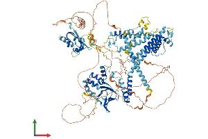 AlphaFold protein structure predicition of Human Recombinant KCNH4 Protein, UniprotID Q9UQ05