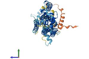 AlphaFold protein structure predicition of Human Recombinant RHBDL3 Protein, UniprotID P58872