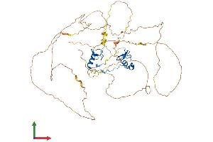 AlphaFold protein structure predicition of Mouse Recombinant Gata6 Protein, UniprotID Q61169