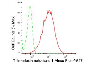 Flow cytometric analysis of thioredoxin reductase 1 expression in HepG2 cells using thioredoxin reductase 1 antibody (ABIN7800544), 1:2,000). (Recombinant TXNRD1 anticorps)