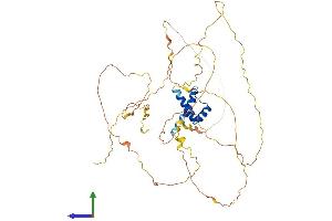 AlphaFold protein structure predicition of Human Recombinant IRX2 Protein, UniprotID Q9BZI1