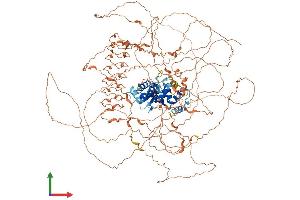 AlphaFold protein structure predicition of Human Recombinant MAGEL2 Protein, UniprotID Q9UJ55