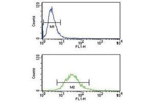 HLA-G antibody flow cytometry analysis of NCI-H460 cells (bottom histogram)
