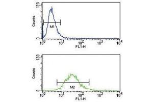 HLA-G antibody flow cytometry analysis of NCI-H460 cells (bottom histogram) (HLAG anticorps  (AA 62-89))
