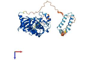 AlphaFold protein structure predicition of Mouse Recombinant Stk25 Protein, UniprotID Q9Z2W1