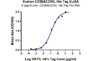 Immobilized Human CD3E&CD3G at 2 μg/mL (100 μL/Well) on the plate. (CD3E & CD3G protein (His tag))