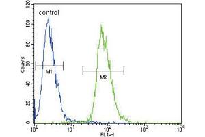 Flow Cytometry (FACS) image for anti-Ets Variant 5 (ETV5) antibody (ABIN2995808) (ETV5 anticorps)