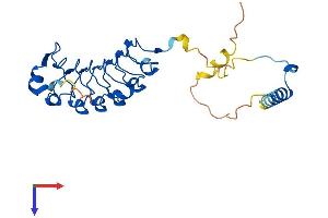 AlphaFold protein structure predicition of Mouse Recombinant Lrrc18 Protein, UniprotID Q9CQ07