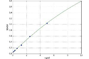 A typical standard curve (14-3-3 gamma Kit ELISA)