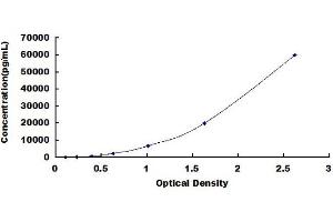Typical standard curve