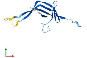 AlphaFold protein structure predicition of Human Recombinant CHTF8 Protein, UniprotID P0CG13