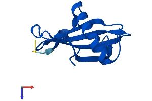 AlphaFold protein structure predicition of Mouse Recombinant Cstb Protein, UniprotID Q62426