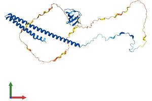 AlphaFold protein structure predicition of Mouse Recombinant Abi3 Protein, UniprotID Q8BYZ1