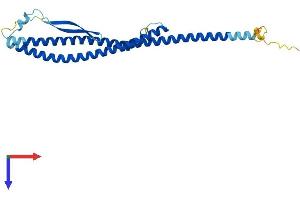 AlphaFold protein structure predicition of Human Recombinant ATP6V1D Protein, UniprotID Q9Y5K8