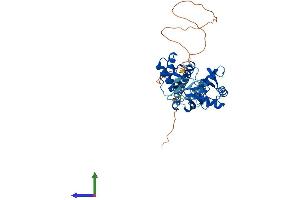 AlphaFold protein structure predicition of Human Recombinant DEPTOR Protein, UniprotID Q8TB45