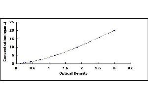 Ferritin, Light Polypeptide (FTL) ELISA Kit