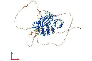 AlphaFold protein structure predicition of Human Recombinant TTLL2 Protein, UniprotID Q9BWV7
