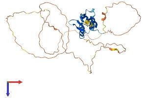 AlphaFold protein structure predicition of Mouse Recombinant Etv2 Protein, UniprotID P41163