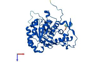 AlphaFold protein structure predicition of Mouse Recombinant Gmpr2 Protein, UniprotID Q99L27