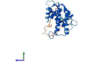 AlphaFold protein structure predicition of Mouse Recombinant Gca Protein, UniprotID Q8VC88
