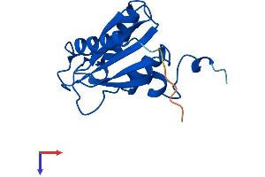 AlphaFold protein structure predicition of Human Recombinant CDA Protein, UniprotID P32320