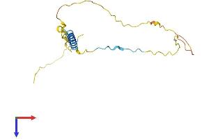 AlphaFold protein structure predicition of Mouse Recombinant Dbndd2 Protein, UniprotID Q9CRD4