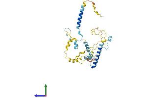 AlphaFold protein structure predicition of Human Recombinant C9orf78 Protein, UniprotID Q9NZ63
