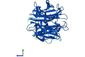 AlphaFold protein structure predicition of Human Recombinant NEU2 Protein, UniprotID Q9Y3R4