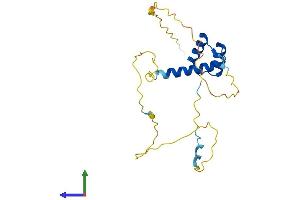 AlphaFold protein structure predicition of Mouse Recombinant Prop1 Protein, UniprotID P97458