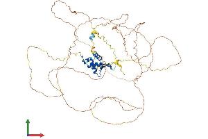 AlphaFold protein structure predicition of Human Recombinant FOXO1 Protein, UniprotID Q12778