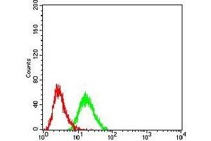 Flow cytometric analysis of HEK293 cells using BMP7 mouse mAb (green) and negative control (red).