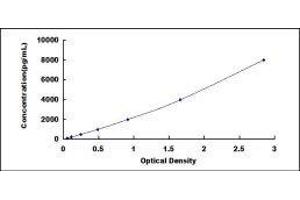 Typical standard curve (GREM1 Kit ELISA)