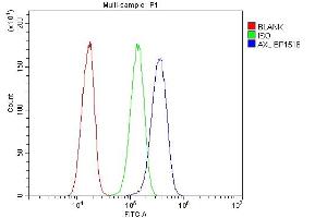 Flow Cytometry analysis of HeLa cells using anti-AXL antibody (ABIN7601813). (AXL anticorps  (AA 47-244))