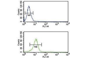 TRAP antibody flow cytometric analysis of NCI-H460 cells (green) compared to a negative control (blue). (CD40 Ligand anticorps  (AA 33-62))