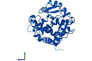 AlphaFold protein structure predicition of Mouse Recombinant Sult3a1 Protein, UniprotID O35403